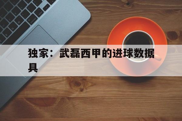 独家：武磊西甲的进球数据具的简单介绍|hb电子游戏